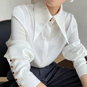 Minimalist Vintage Turn Down Collar Silk Shirt Satin Blouse